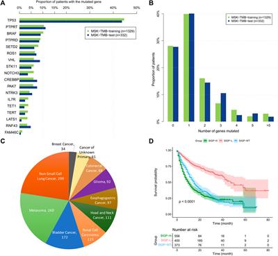 Pancancer analysis of a potential gene mutation model in the prediction of immunotherapy outcomes